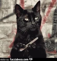 gif animata