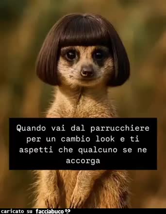 Parrucchiere