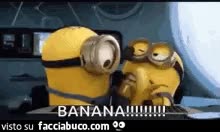 gif animata