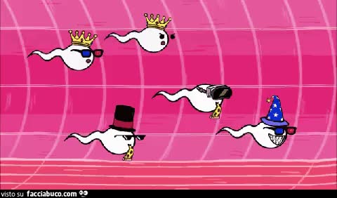 gif animata
