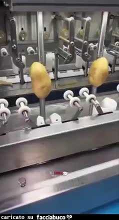 Gif Animata