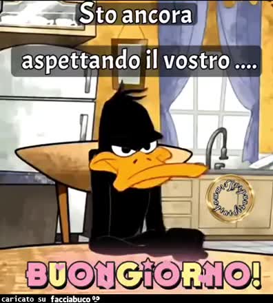 Gif Animata