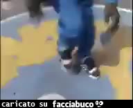 gif animata