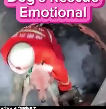 Gif Animata