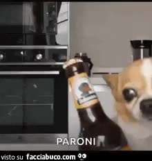 gif animata