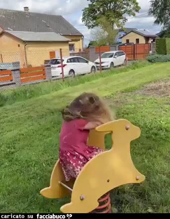 Gif Animata