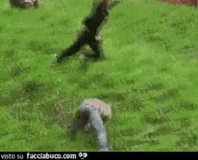 gif animata