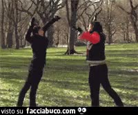 gif animata