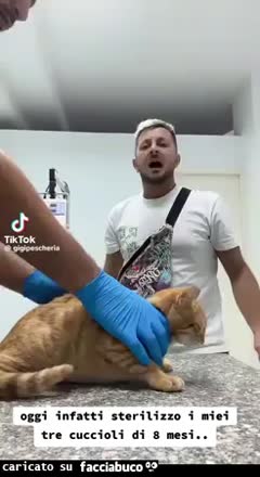Gif Animata