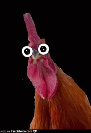 gif animata