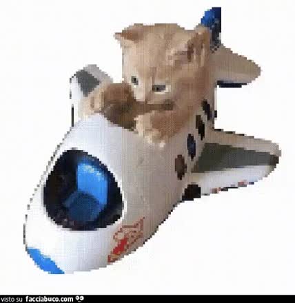 gif animata