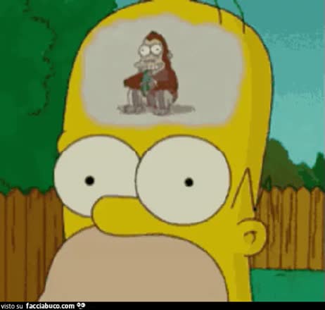 gif animata