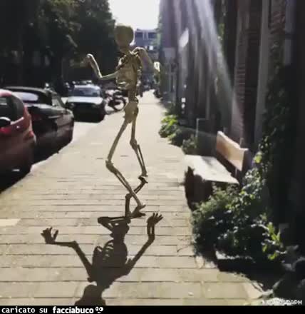 gif animata