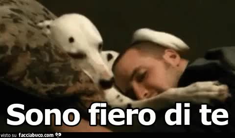 gif animata