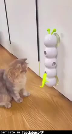 Gif Animata