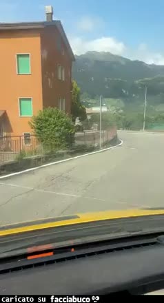 Gif Animata