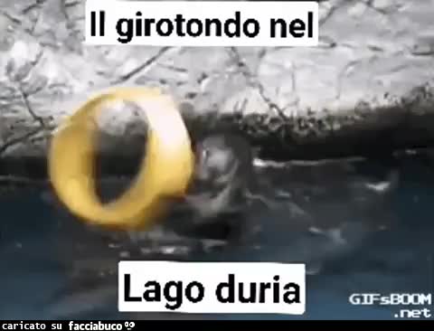 gif animata