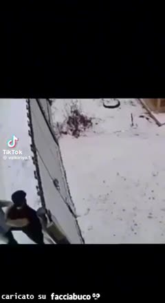 Gif Animata