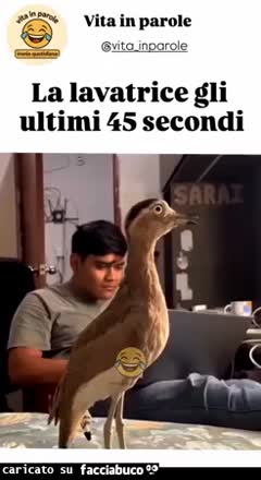 Gif Animata
