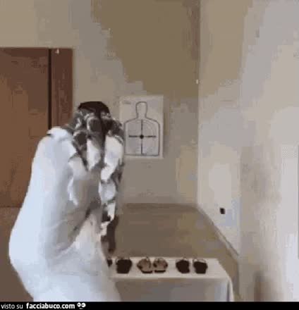 gif animata