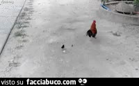 Gif Animata