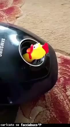 gif animata