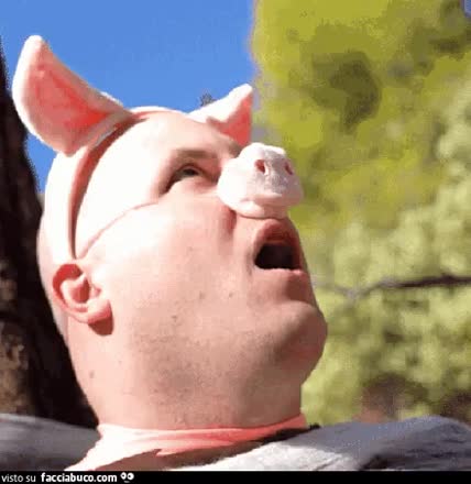 gif animata