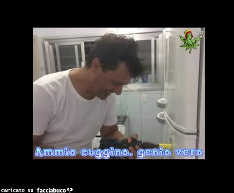 Gif Animata