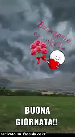 Gif Animata
