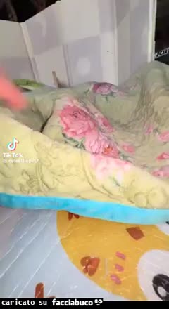 Gif Animata