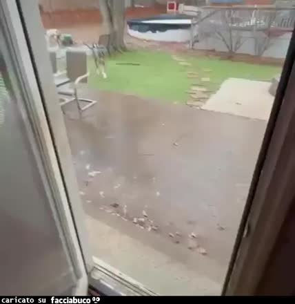 Gif Animata