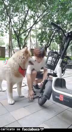 Gif Animata