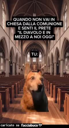 Gif Animata