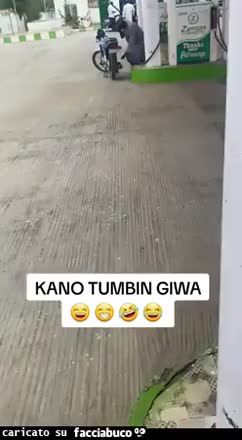 Gif Animata