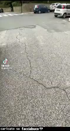 Gif Animata