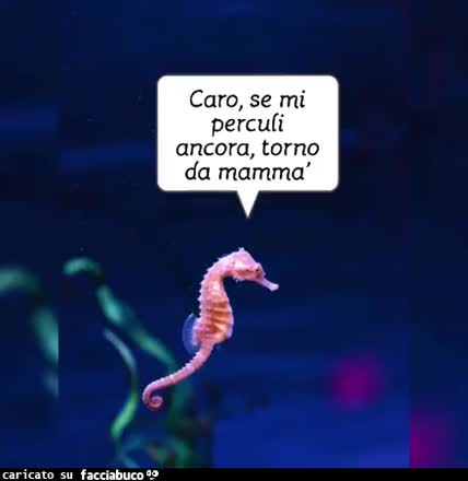 gif animata