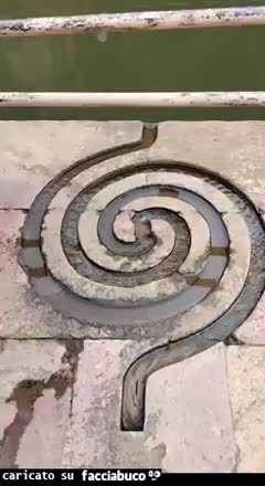 Gif Animata