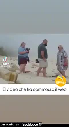 Gif Animata
