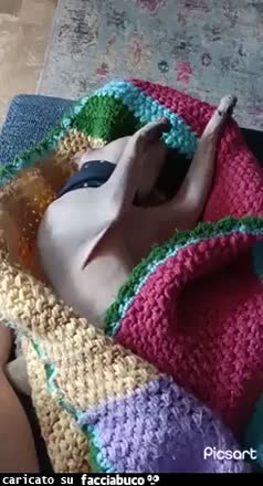 Gif Animata