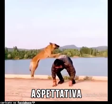 Gif Animata