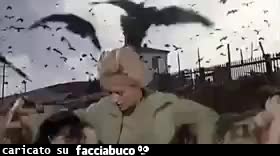 gif animata