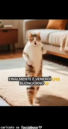 Gif Animata