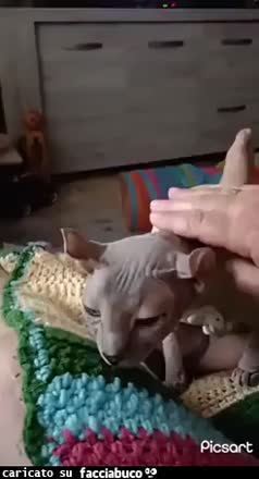 Gif Animata