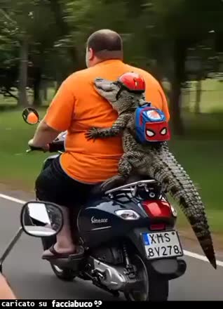 gif animata
