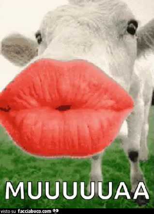 gif animata