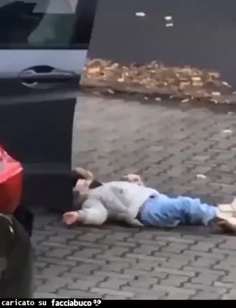 Gif Animata