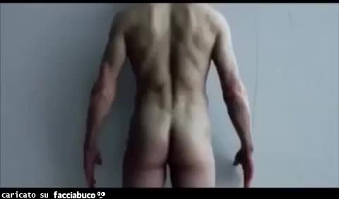 gif animata