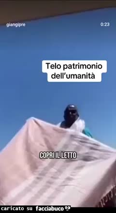 Telo